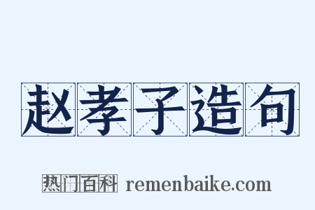 赵孝子造句是什么意思的图片